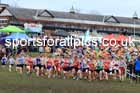 Senior Boys 2024 English Schools Cross Country Champs., Pontefract, March 16th.  Photo: David T. Hewitson/Sports for All Pics